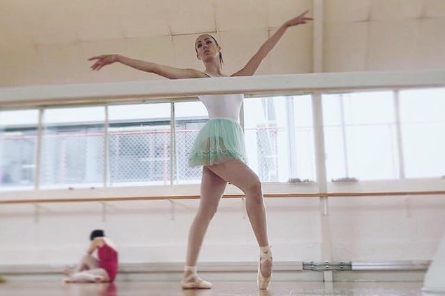 socks adult ballet dancer