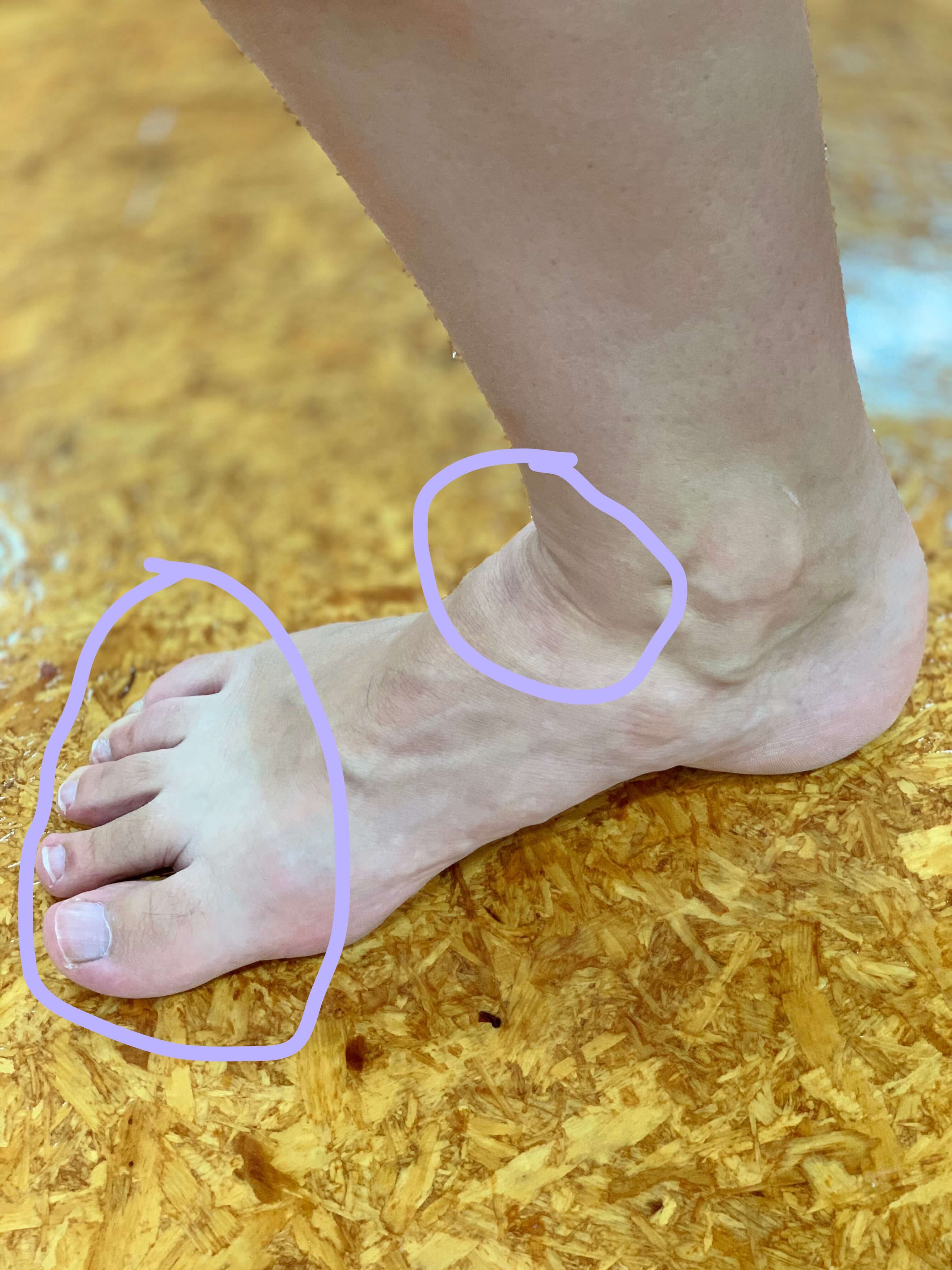 relaxed toes and tendons in plie
